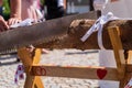 Bride and groom cutting wood log on sawhorse with copy space at wedding day Royalty Free Stock Photo