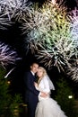 Bride and groom dancing sorrounding by fireworks