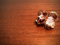 Bride and groom dolls set on wooden brown background. Royalty Free Stock Photo