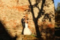 Bride and groom embracing near bricked wall Royalty Free Stock Photo