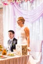 Bride And Groom Enjoying Meal At Wedding Reception Royalty Free Stock Photo