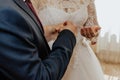 The bride and groom exchange rings. A man puts a wedding ring on a woman& x27;s hand. Royalty Free Stock Photo