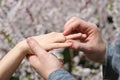 Bride and groom exchanging wedding rings Royalty Free Stock Photo