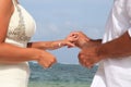 Bride and Groom Exchanging Wedding Vows Royalty Free Stock Photo