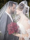 Bride and groom under veil Royalty Free Stock Photo