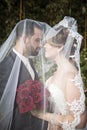 Bride and groom under veil Royalty Free Stock Photo