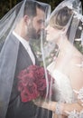 Bride and groom under veil Royalty Free Stock Photo