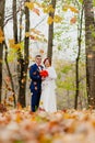 The bride and groom and falling autumn leaves Royalty Free Stock Photo
