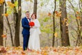The bride and groom and falling autumn leaves Royalty Free Stock Photo