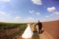 Bride and groom in the fields Royalty Free Stock Photo