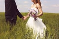 Bride and groom on the fields Royalty Free Stock Photo