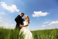 Bride and groom on the fields Royalty Free Stock Photo