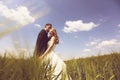 Bride and groom on the fields Royalty Free Stock Photo