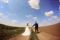 Bride and groom in the fields on their wedding day Royalty Free Stock Photo