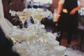 The bride and groom fill the champagne fountain. Wedding article. A happy couple. Love. Photos for printed products