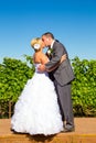 Bride and Groom First Kiss Ceremony Royalty Free Stock Photo