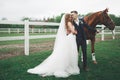 Bride and groom in forest with horses. Wedding couple. Beautiful portrait in nature