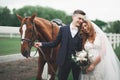 Bride and groom in forest with horses. Wedding couple. Beautiful portrait in nature