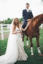 Bride and groom in forest with horses. Wedding couple. Beautiful portrait in nature