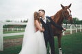 Bride and groom in forest with horses. Wedding couple. Beautiful portrait in nature