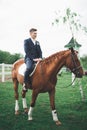 Bride and groom in forest with horses. Wedding couple. Beautiful portrait in nature