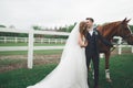 Bride and groom in forest with horses. Wedding couple. Beautiful portrait in nature