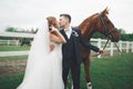 Bride and groom in forest with horses. Wedding couple. Beautiful portrait in nature