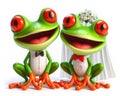 bride and groom getting married illustration of a funny red eyed tree frog Royalty Free Stock Photo