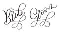 Bride Groom Hand drawn vintage Vector text on white background. Calligraphy lettering illustration EPS10 Royalty Free Stock Photo