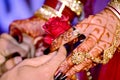 Bride & Groom Hand` Together