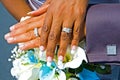 Bride and Groom hands Royalty Free Stock Photo