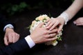 bride and groom hands Royalty Free Stock Photo
