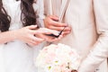 Bride and groom hands holding a small butterfly outdoors Royalty Free Stock Photo