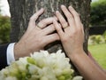 Bride and groom hands Royalty Free Stock Photo