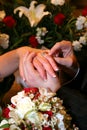 Bride and Groom Hands with Rings 2