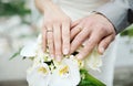 Bride and groom hands with wedding rings Royalty Free Stock Photo