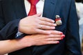 Bride and groom hands with wedding rings Royalty Free Stock Photo