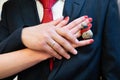 Bride and groom hands with wedding rings Royalty Free Stock Photo