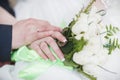 Bride groom hands Royalty Free Stock Photo