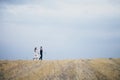 The bride and groom hold hands, hug each other and walk in the park. wedding Royalty Free Stock Photo