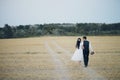 The bride and groom hold hands, hug each other and walk in the park. wedding Royalty Free Stock Photo