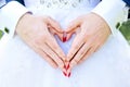 Bride and groom hold hands in love heart sing. Royalty Free Stock Photo