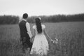 Bride and groom hold hands and meet the sunset. Wedding Royalty Free Stock Photo