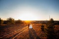 The bride and groom hold hands, walk along the path in the meadow, during sunset. Royalty Free Stock Photo