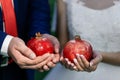 The bride and groom hold garnets in their hands. Wedding rings. close-up Royalty Free Stock Photo