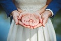 Bride and groom hold rings in their palms. Wedding Royalty Free Stock Photo