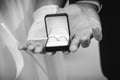 Bride and groom holding box with wedding rings Royalty Free Stock Photo