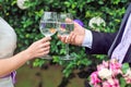 Bride and groom holding glasses with goldfish