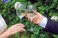 Bride and groom holding glasses with goldfish