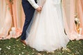 Bride and groom holding hands Royalty Free Stock Photo